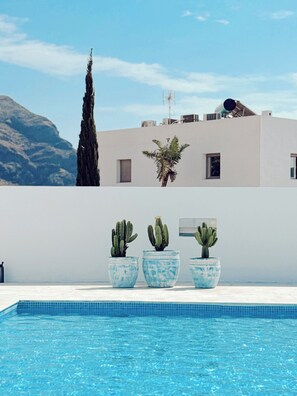 A swimming pool with three potted cacti, a tall tree, and a white building with windows and a satellite dish. - LAS NEGRAS OLIVENCIA NATURAL (Las Negras)