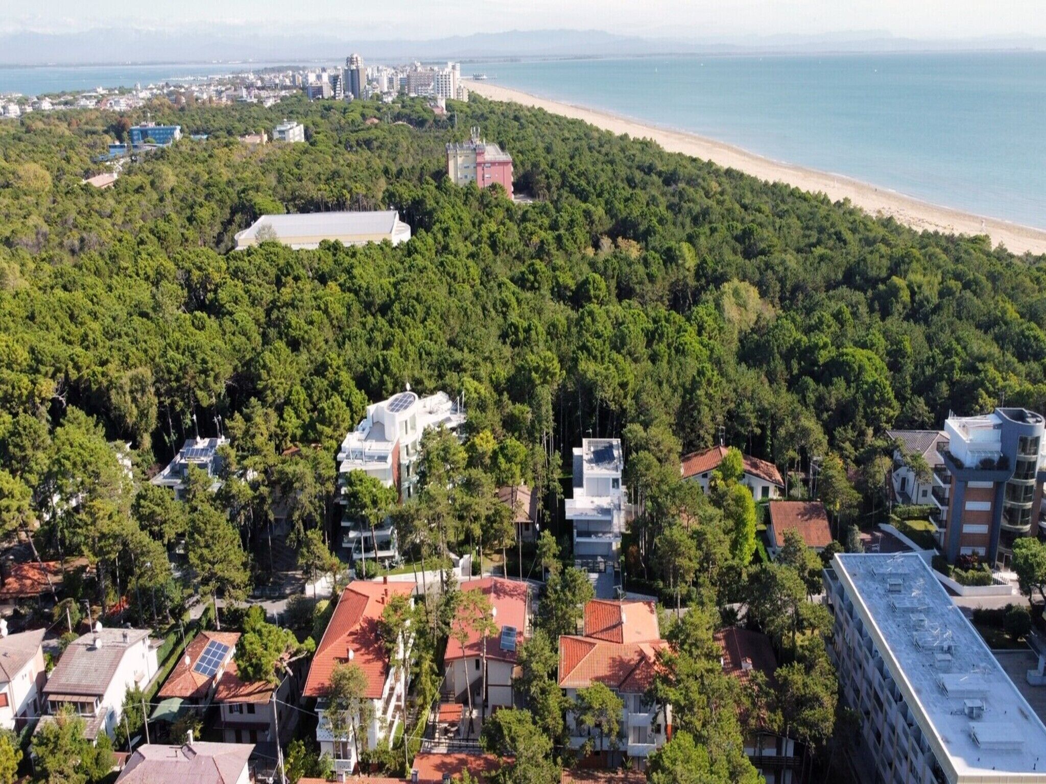 Un quartier résidentiel où les maisons sont entourées d’arbres denses, avec une plage à proximité et une vue sur la ville en arrière-plan.