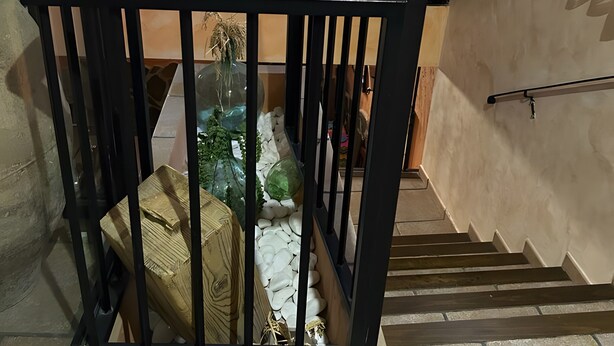 Un escalier avec une rampe en métal noir, un petit jardin intérieur et un téléviseur posé sur un meuble au fond de la pièce.
