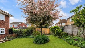 Un jardín residencial con un césped cuidado, distintos arbustos y un árbol en flor.
