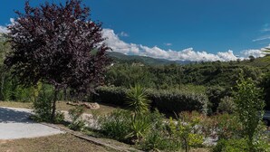 Un jardin luxuriant, avec une variété de plantes et d’arbres, un chemin pavé et un véhicule visible au loin.