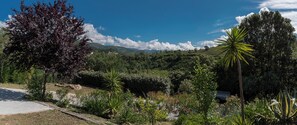 Property grounds - Ground floor with private garage (peri)
