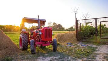 Un tracteur rouge avec une cabine, des balles de foin et deux chaises pliantes, le tout dans un cadre rural.