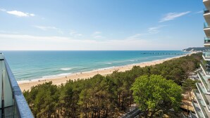 Paesaggio costiero con spiaggia, oceano e area boschiva.