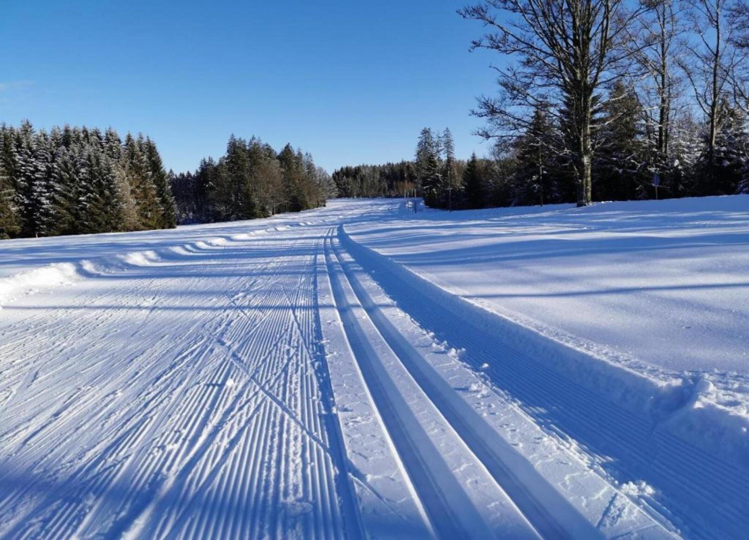 A snowy landscape with tracks in the snow, trees, and a clear sky.