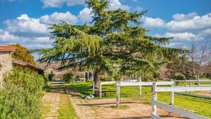 A paved pathway leading to a building with a stone facade, surrounded by greenery and a large tree. - Country House - Isola dei Cavalli (Manziana)