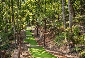 A forested area with a series of wooden steps leading up a hill.