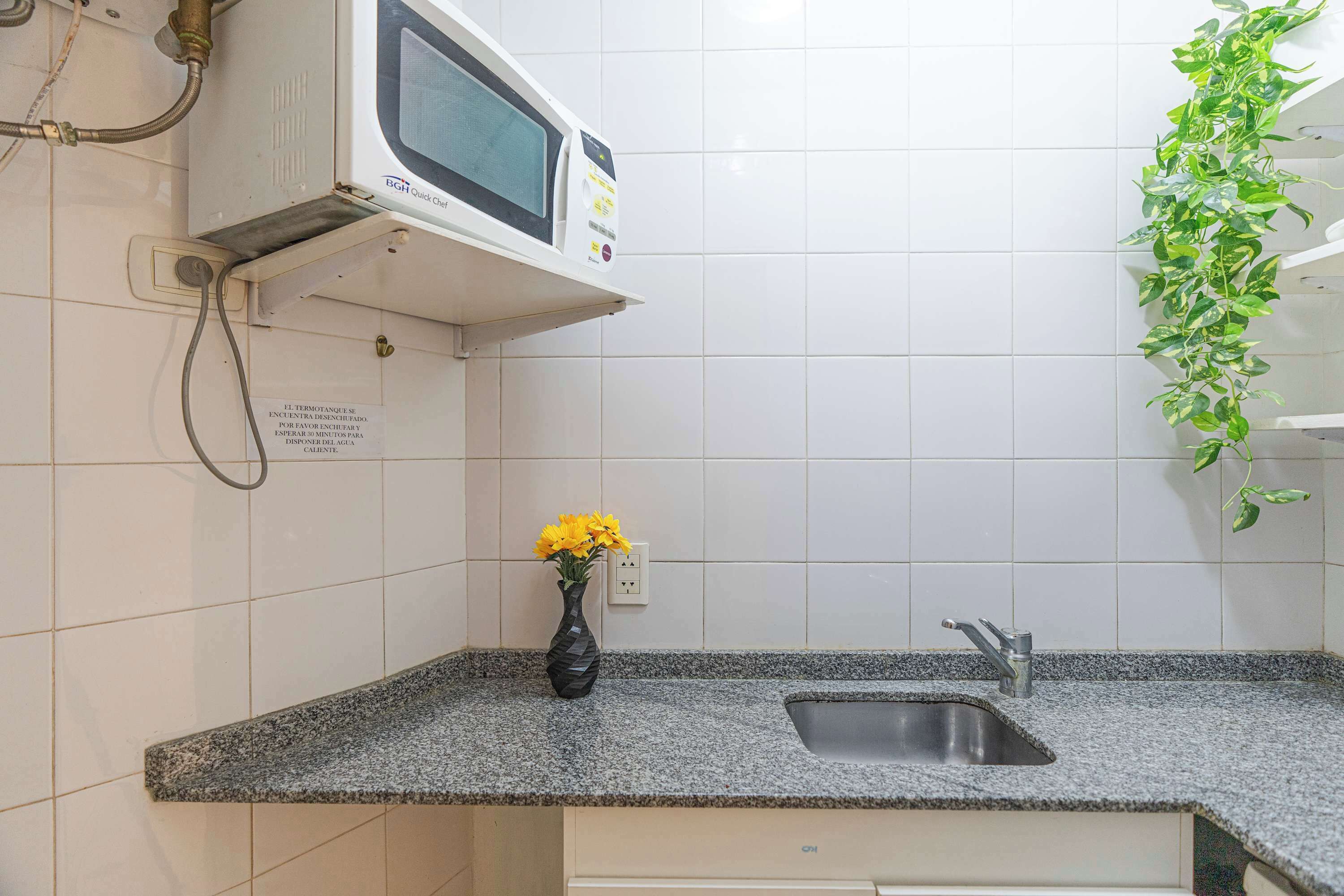 Una cocina con encimera de granito, pileta de acero inoxidable, microondas y una planta en maceta.