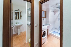 Une salle de bain équipée d’un lavabo, d’un miroir, d’une douche et d’un lave-linge.