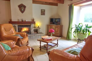 Fernseher, Kamin
