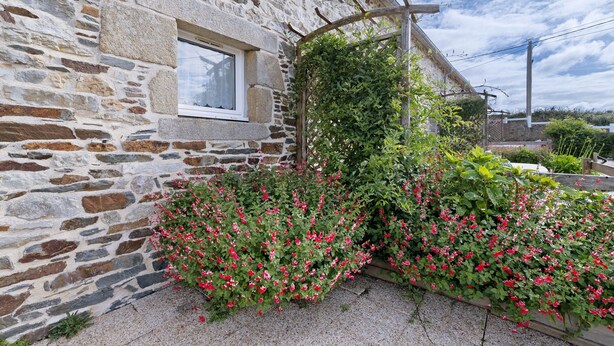 A stone building with a window, a wooden pergola, and flowering plants. - Ty izella – 500m from the sea (Plomodiern)