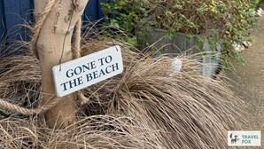 Ein Baum mit einem Schild, auf dem steht: 'ZU STRAND GANGEN'.
