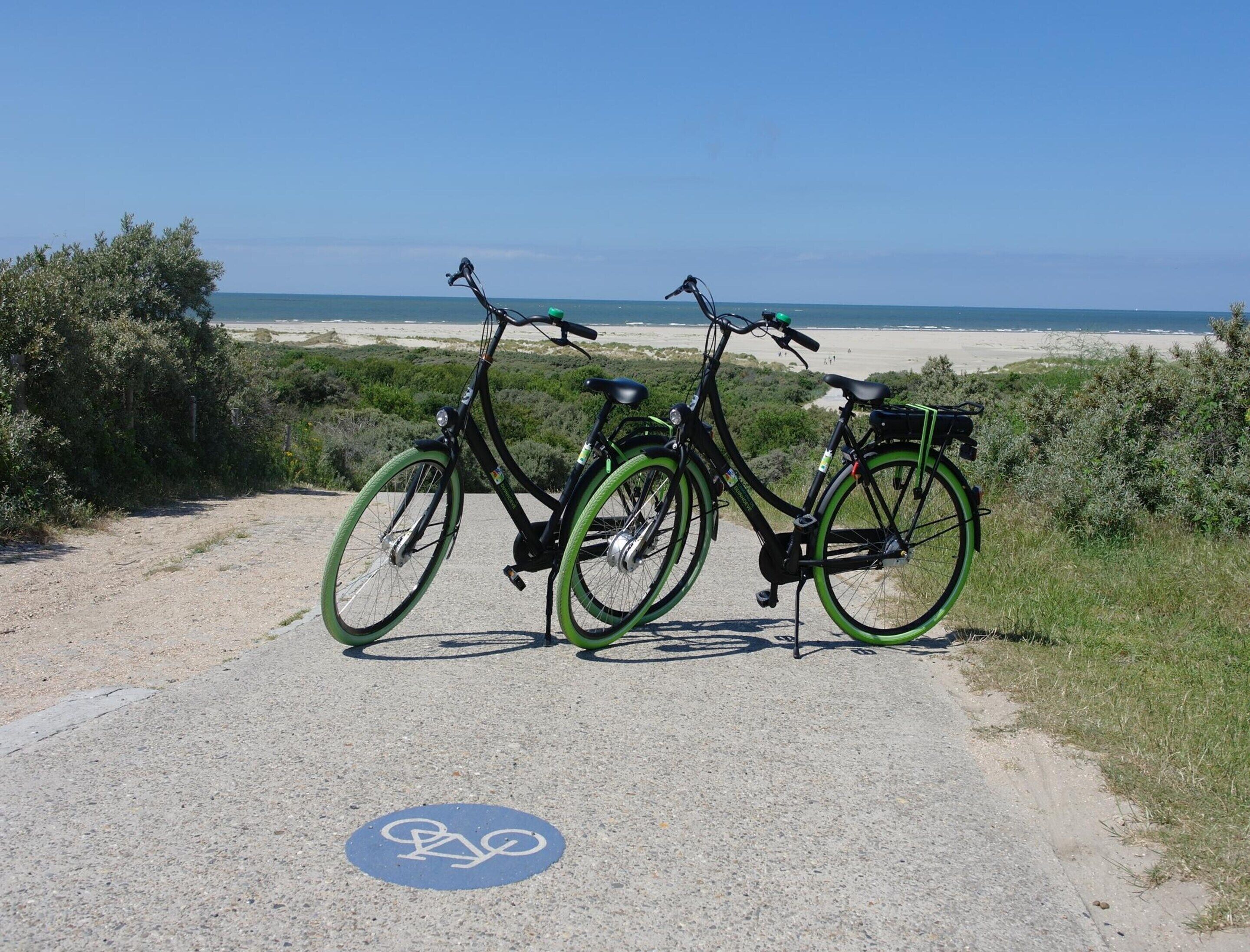 A paved path with a bicycle lane symbol, two bicycles with green rims, and a beach in the background.