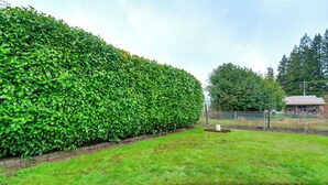 A well-maintained hedge, a grassy area, and a fence in a residential setting. - Walk to Twilight Sites! Forks Home w/ Hot Tub (Forks)