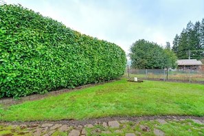 A well-maintained hedge, a grassy area, and a fence in a residential setting.