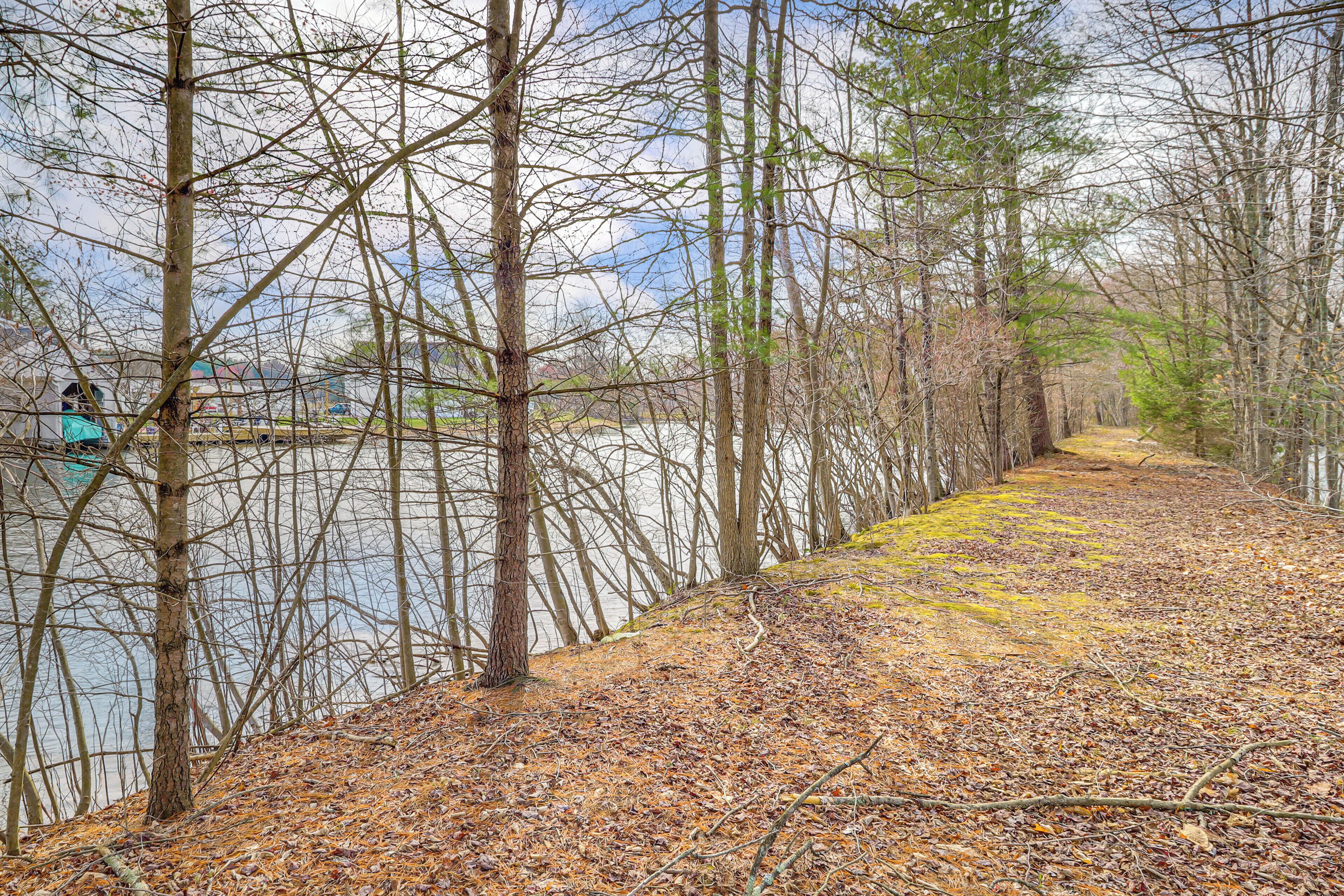 A forested area with a path leading to a body of water.