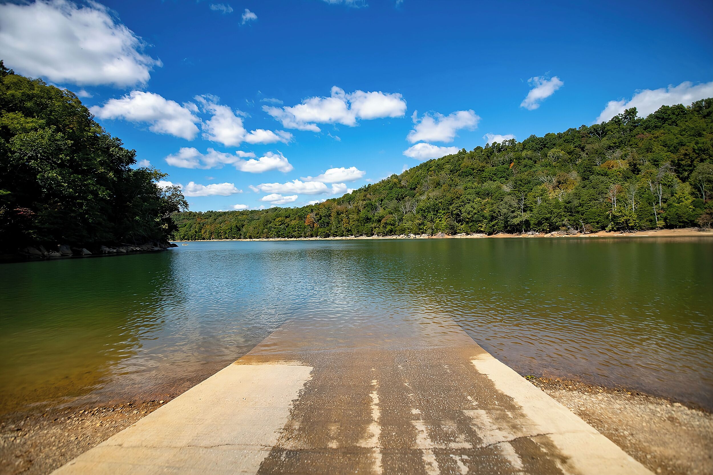 A calm lake with a concrete viewing platform, surrounded by dense forest and a clear blue sky.