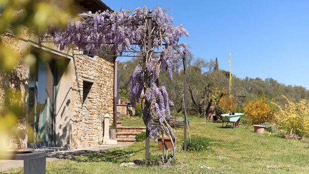 En byggnad av sten med en trädgård, en pergola med lila blommor och en skottkärra i bakgrunden.