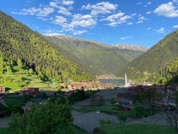 Miscellaneous - Özkan Pansiyon (Trabzon)