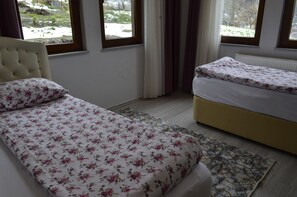 Habitación familiar, varias camas, vistas al lago | Wifi gratis