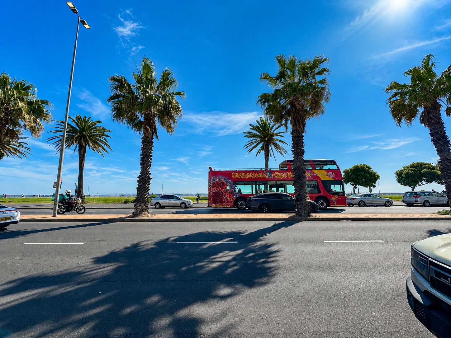 A red double-decker bus with 'City Sightseeing Cape Town' written on it, parked on a street with palm trees and a clear blue sky.