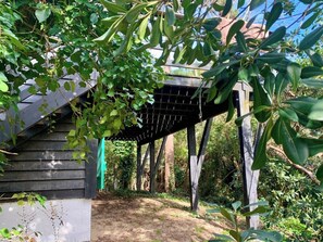 A covered outdoor area with a wooden structure, surrounded by dense foliage. - 1st line to the Mimbeau lagoon in Cap Ferret A0340 (Lège-Cap-Ferret)