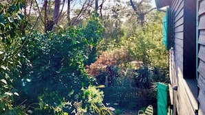 Un jardí amb vegetació abundant i una tanca de fusta.