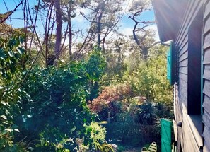 Property grounds - In 1 row to the Mimbeau lagoon - vacation home in the 44ha in Cap Ferret (Lège-Cap-Ferret)