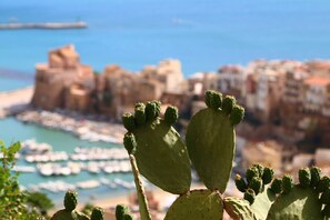 Miscellaneous - Apartment 'Oasi Blu Corallo' with Wi-Fi and Air Conditioning (Castellammare del Golfo)