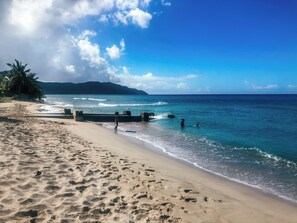 Beach - SEA FOREVER - Breathtaking Views Of Buck Island National Park! (Christiansted)