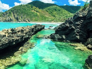 Miscellaneous - SEA FOREVER - Breathtaking Views Of Buck Island National Park! (Christiansted)