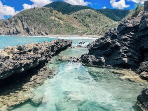 Miscellaneous - SEA FOREVER - Breathtaking Views Of Buck Island National Park! (Christiansted)