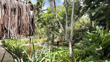 Jardines del alojamiento