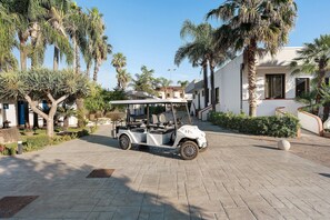 Ein Golfmobil steht auf befestigtem Untergrund, im Hintergrund sind Palmen und ein Gebäude zu sehen.