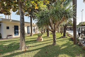 Un jardin bien entretenu, agrémenté de palmiers, d ’un jardinière en pierre et d’un bâtiment à la façade beige et aux portes sombres.