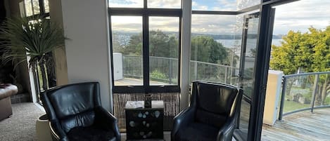 Televisión y chimenea
