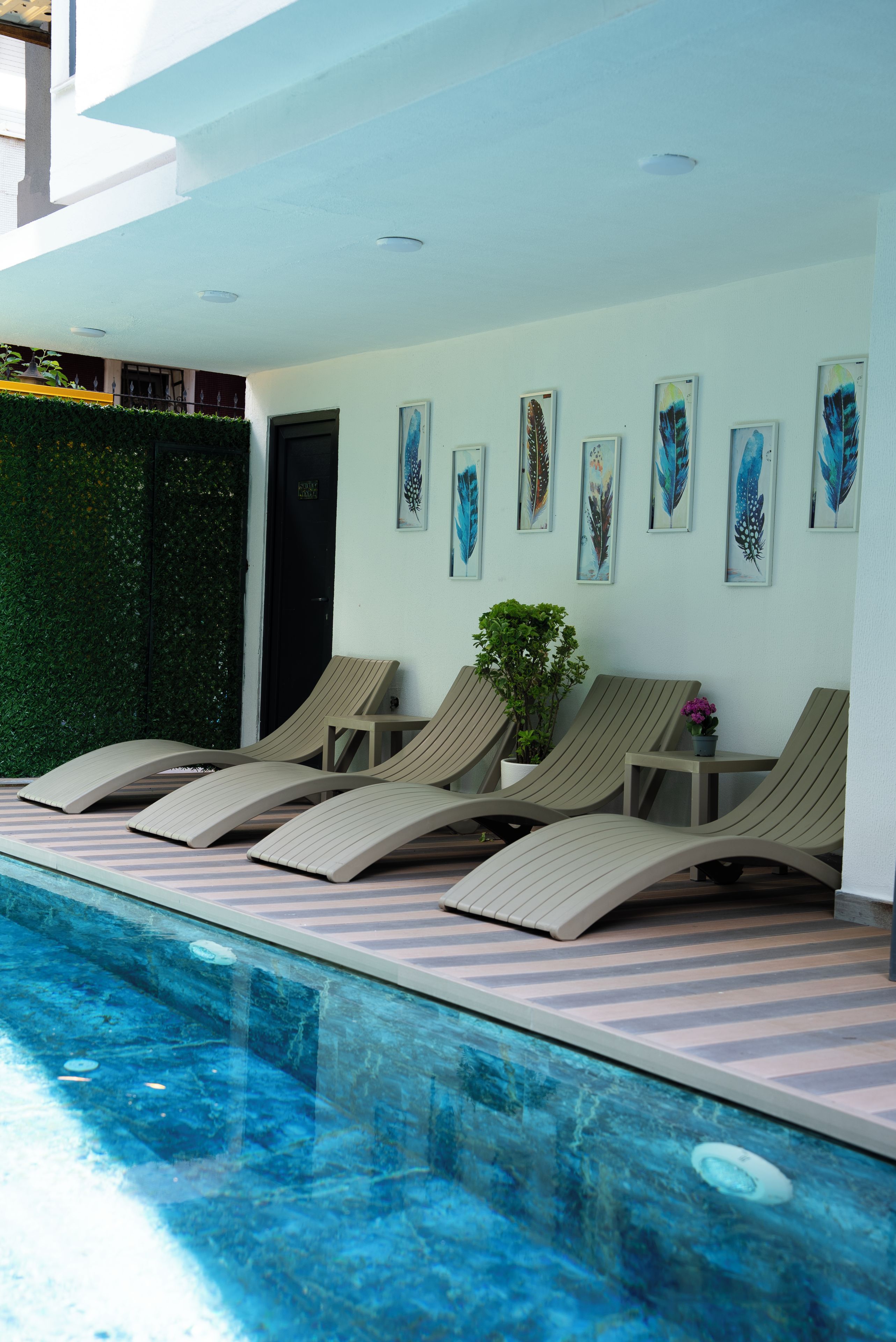 Piscina externa