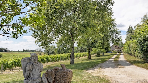 A rural pathway with a sculpture and a vineyard in the background.