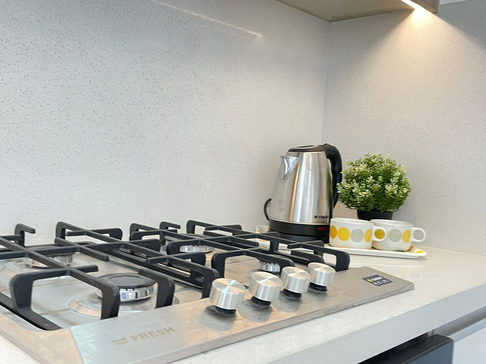 A kitchen with a gas stove, a kettle, and a small potted plant.