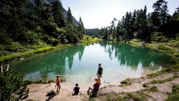 Pemandangan sekitar dari properti