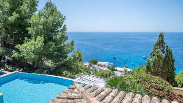 Une piscine avec vue sur la mer, entourée d’arbres et sous un ciel dégagé.