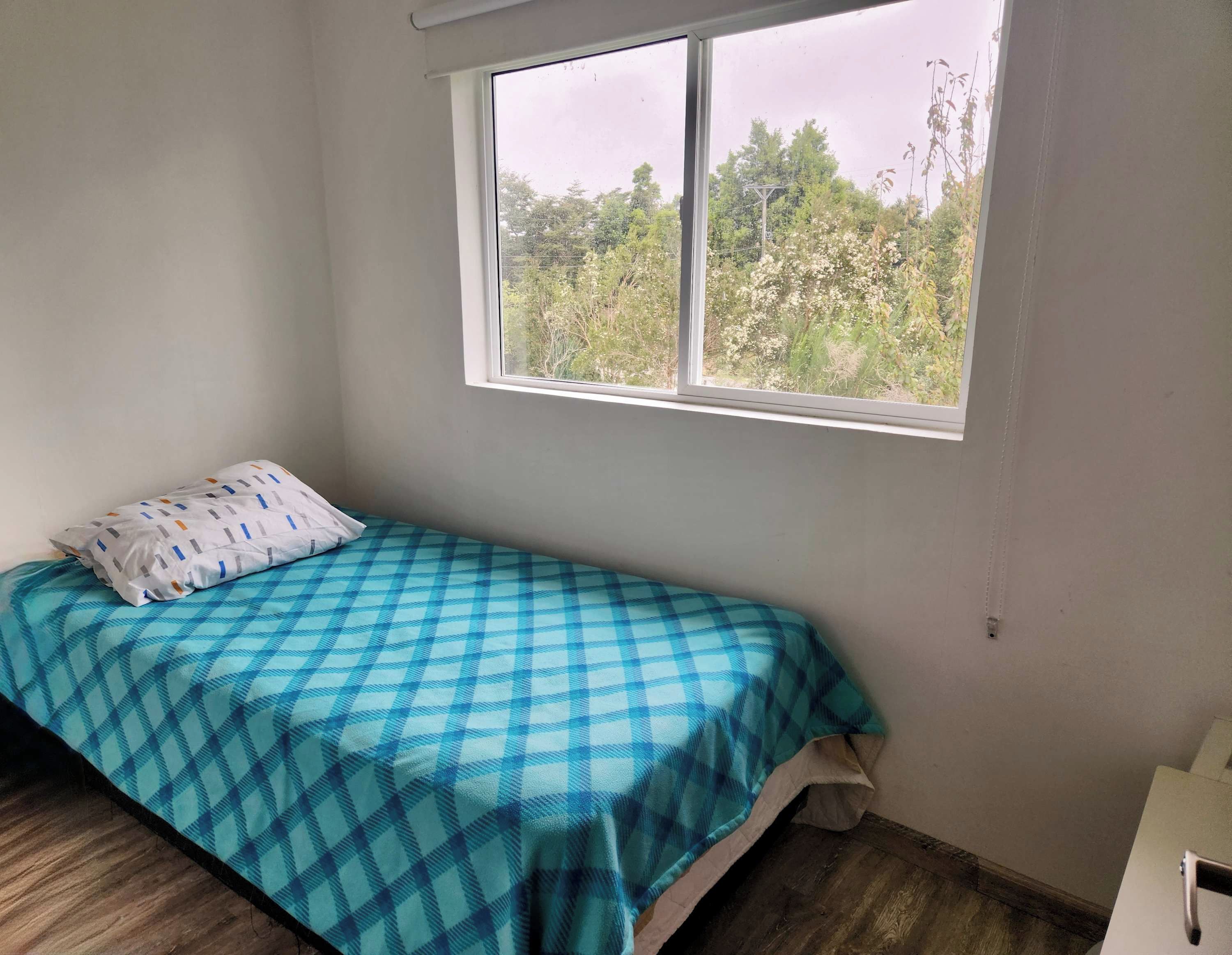 A single bed with a checkered bedspread, a pillow, and a window with a view of trees.
