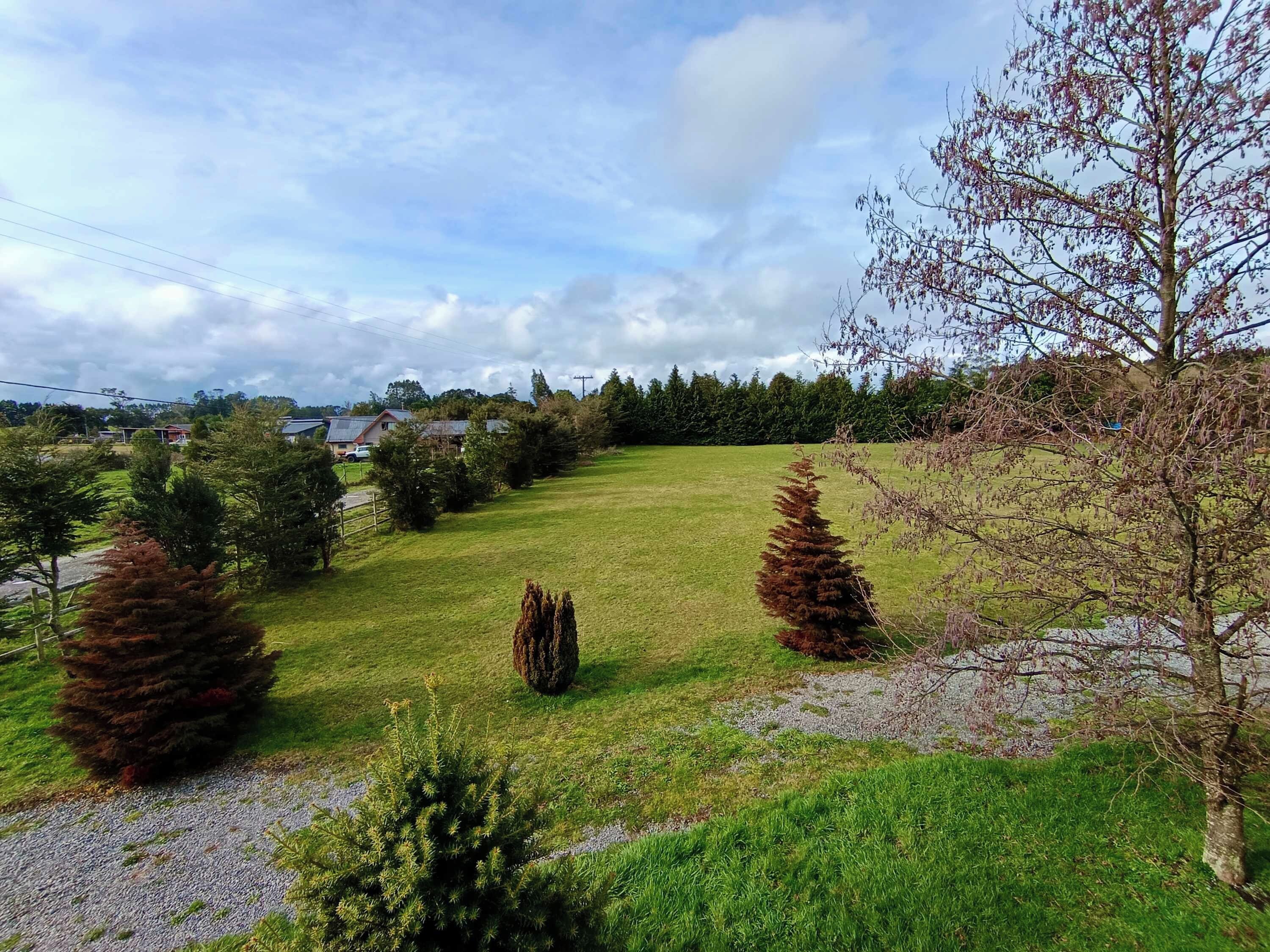 A grassy area with trees and a clear sky.