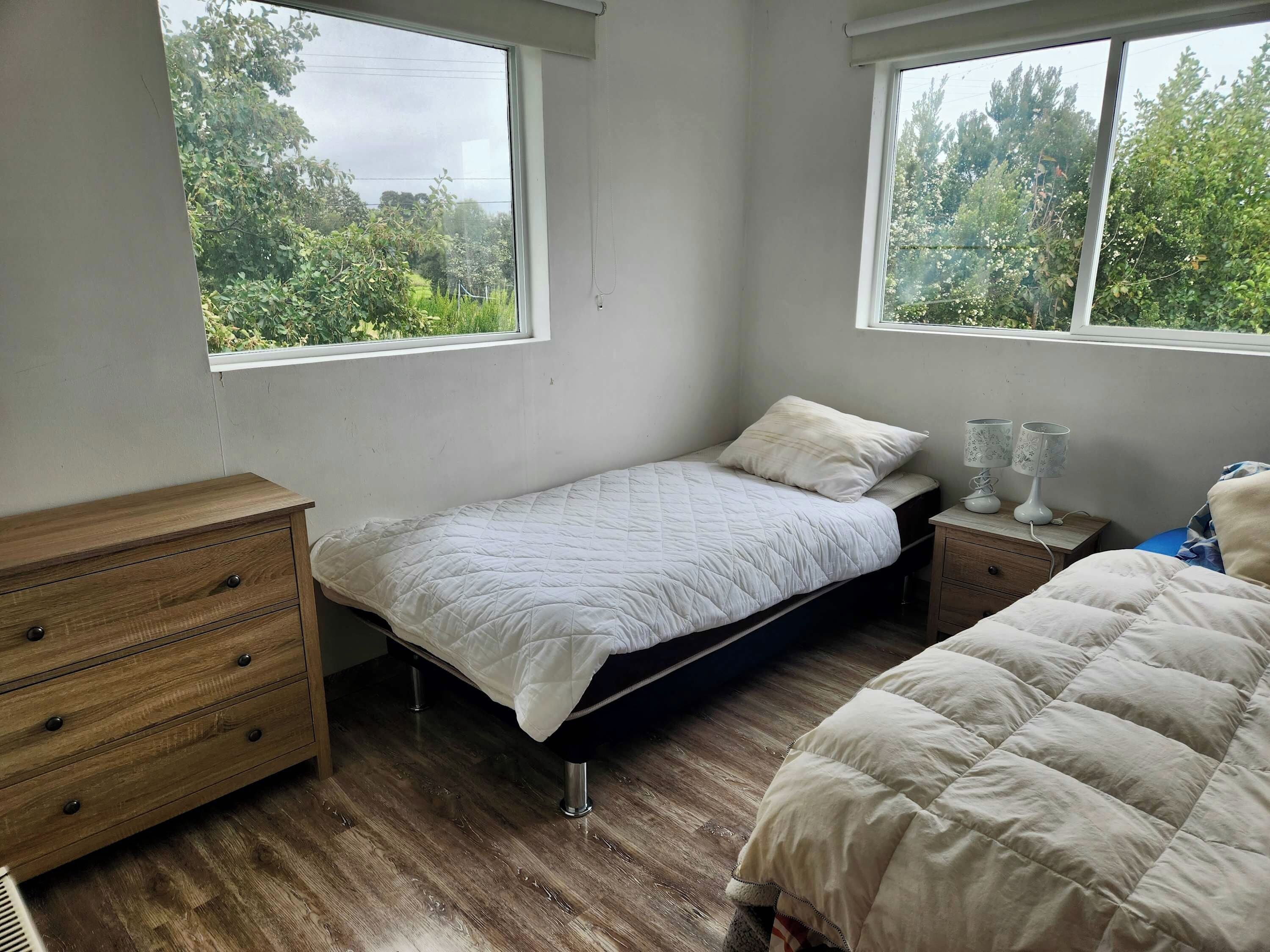 A bedroom with a bed, a nightstand, a dresser, and two windows.