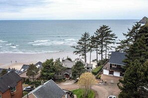 A coastal residential area with houses, a beach, and ocean views.
