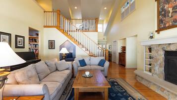 Smart TV, fireplace, books, music library