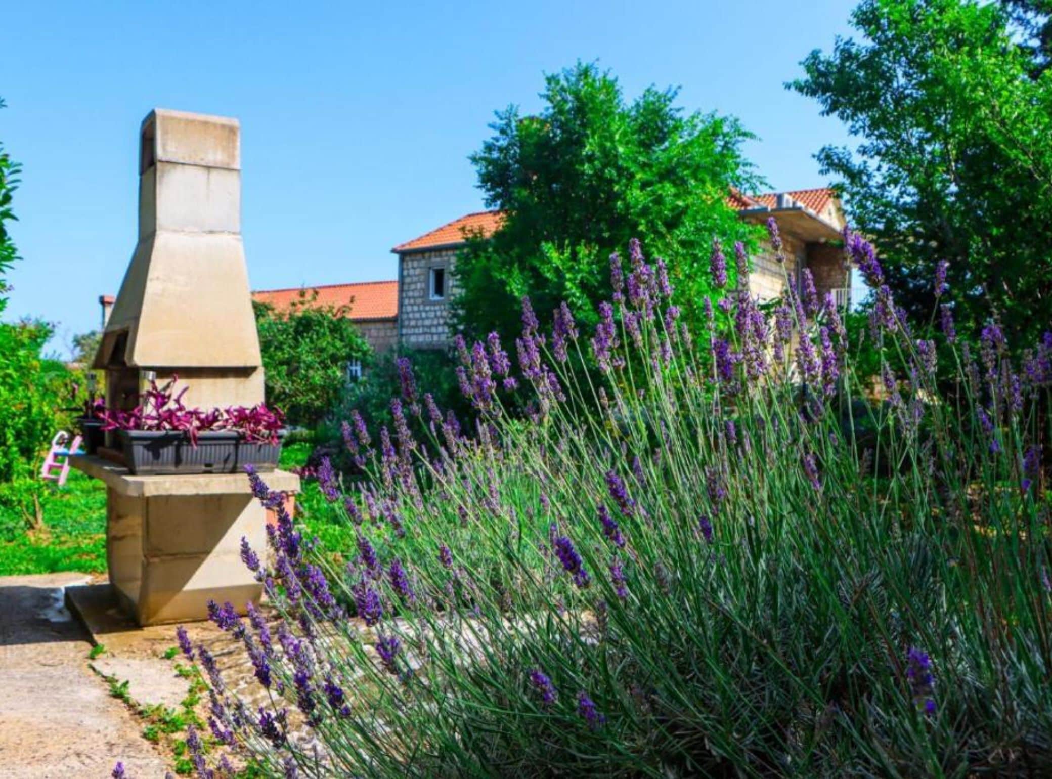 Lägenhet (Konavle Village Apartment) | Exteriör