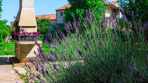 A stone structure with a chimney, surrounded by lavender plants and a building with a red roof in the background. - Delux Konavle Village Apartment (Konavle)