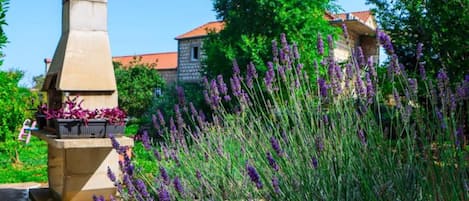 อพาร์ทเมนท์ (Konavle Village Apartment) | บริเวณภายนอก