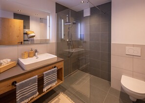 Chuveiro, secador de cabelo, toalhas de banho, sabonete